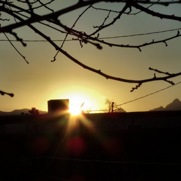 Meet your Posher, Janis - Picture 3 of 3